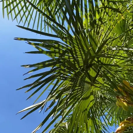 Bed & Breakfast La Des Ecureuils 3*