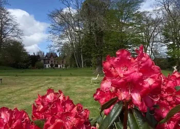 La Des Ecureuils Bed & Breakfast